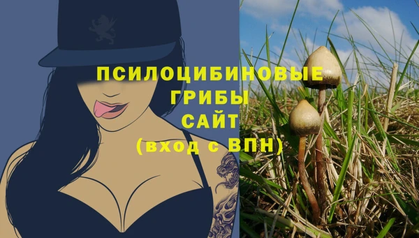 мет Белокуриха
