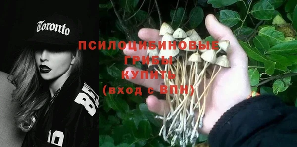 мет Белокуриха