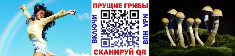Псилоцибиновые грибы Psilocybe  как найти закладки  Онега 
